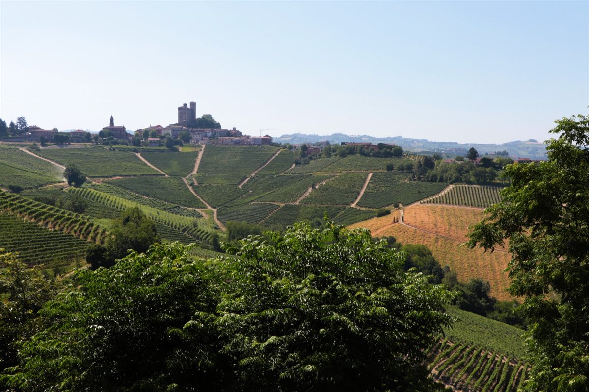 Panorama, camere e ospitalità nelle Langhe · 2