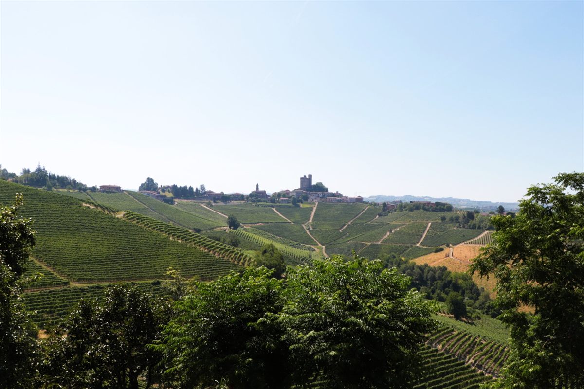 Panorama, camere e ospitalità nelle Langhe · 1